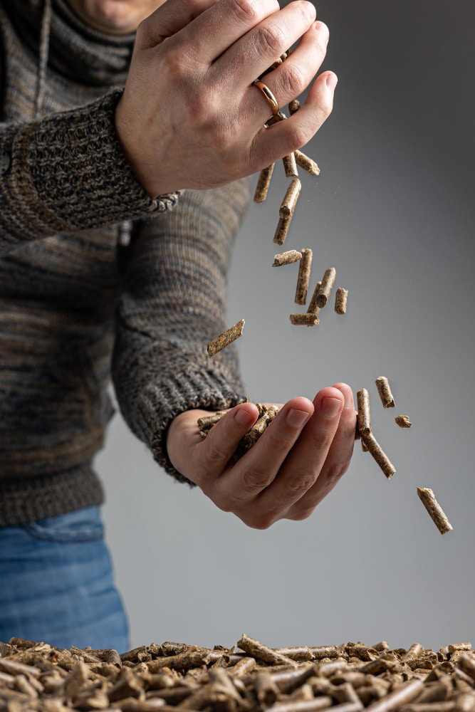Comment sont fabriqués les pellets ?